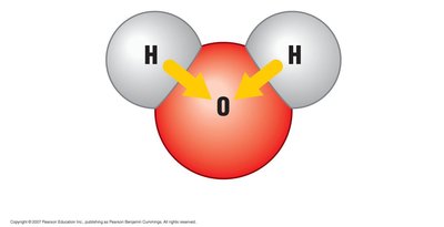Polarity of water molecule