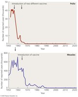 Effect of Immunization in Reducing Disease Prevalence