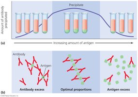 Precipitation Reaction and Proportions