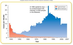 Salmonella Cases Over Time