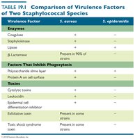 Table comparing virulence factors of S. aureus and S. epidermidis