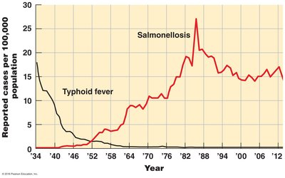 Incidence of salmonellosis and typhoid fever