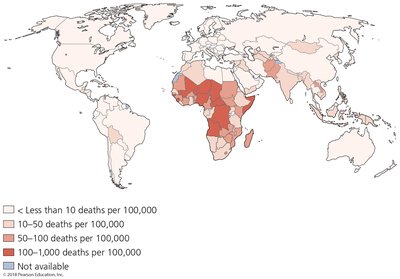 Deaths from rotaviral diarrhea