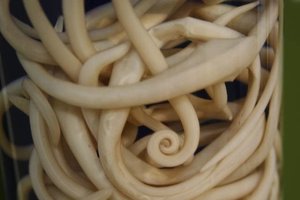 Tapeworm specimen