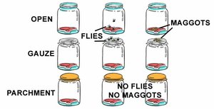Redi's experiment with meat and maggots