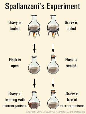 Spallanzani's experiment with boiled gravy