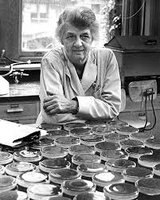 Rebecca Lancefield with petri dishes