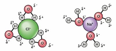 Hydration shells around ions in solution