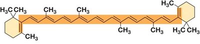 Structure of β-Carotene