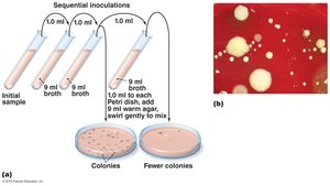 Pour plate method of isolation