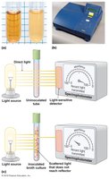Turbidity and spectrophotometry