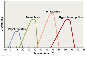 Example of a psychrophile