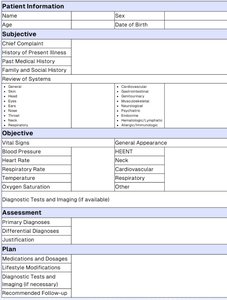 SOAP note example for clinical assessment
