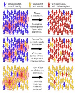 Diagram illustrating herd immunity