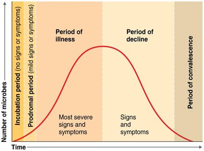 Graph showing stages of disease development