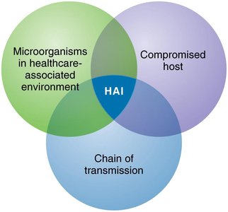 Pie chart of principal sites of HAIs