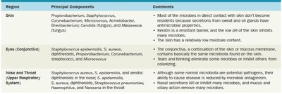 Representative normal microbiota by body region (mouth, intestine, urogenital)