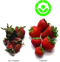 Increased shelf life of food achieved by ionizing radiation