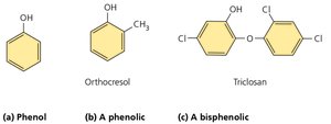 Structures of phenol and phenolic compounds