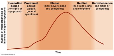 Graph of stages of infectious disease