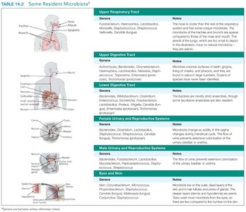 Table of resident microbiota by body site