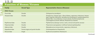 Table of DNA virus families