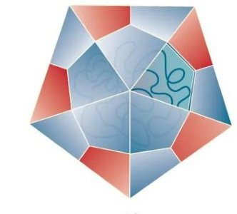 Icosahedral capsid structure