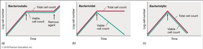 Bacteriostatic, bactericidal, and bacteriolytic effects