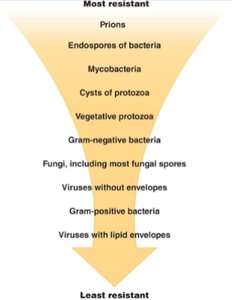 Microbial resistance hierarchy