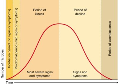 Stages of infectious disease