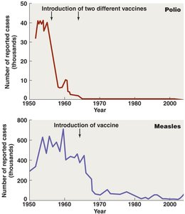 Effect of immunization in reducing prevalence of disease (Polio and Measles)