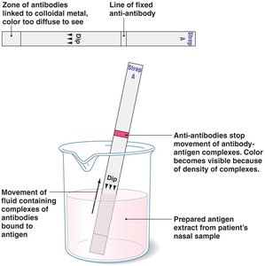 Immunochromatographic dipstick