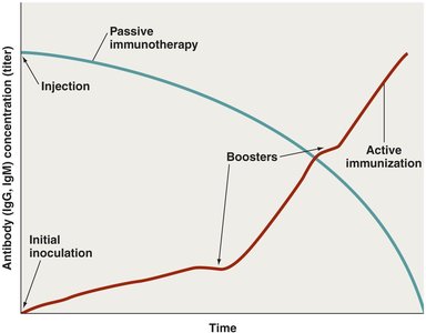 Immunity by active immunization and passive immunotherapy
