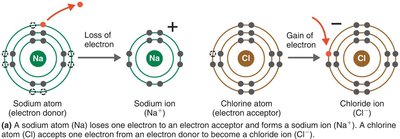 Ionic bond formation between sodium and chlorine