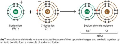 Ionic bond formation resulting in sodium chloride