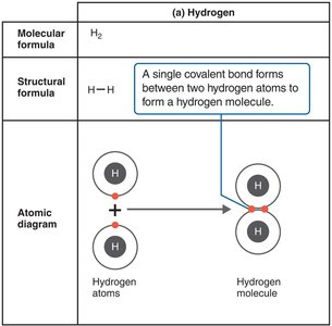 Covalent bond formation in hydrogen