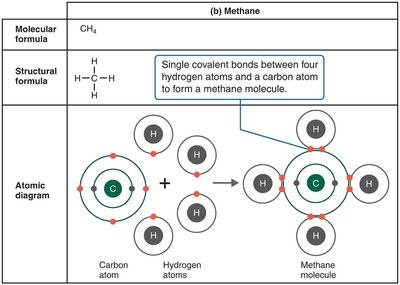 Covalent bond formation in methane