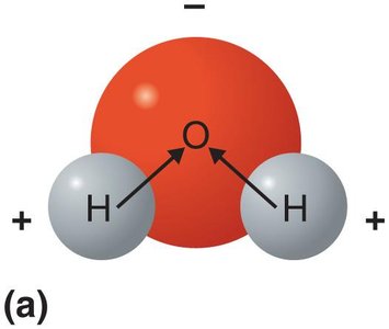 Polarity of water molecule