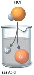 Acid dissociation in water