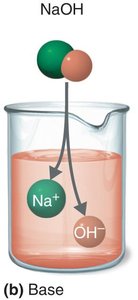 Base dissociation in water