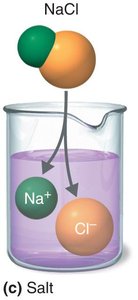Salt dissociation in water