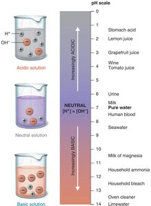 The pH scale