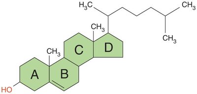 Cholesterol structure
