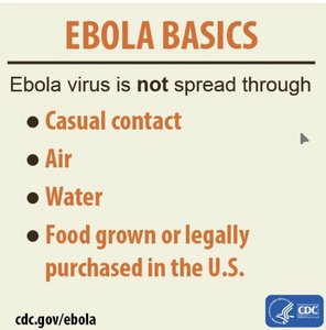 Ebola virus transmission basics