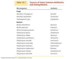 Sources of Some Common Antibiotics and Semisynthetics