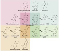 Nucleotide analogs used as antiviral drugs