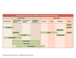Spectrum of activity of antibiotics