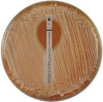 Etest for MIC determination