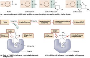 Sulfonamides as metabolic analogs