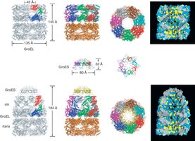 Structure of the thermosome chaperone complex